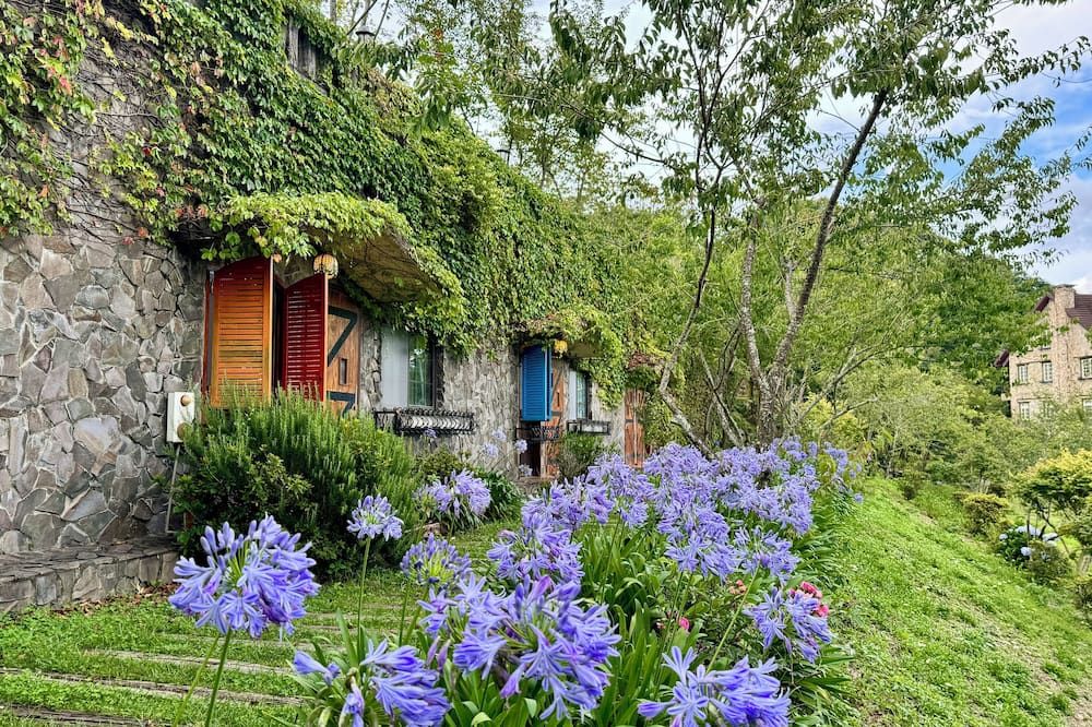 المظهر الخارجي