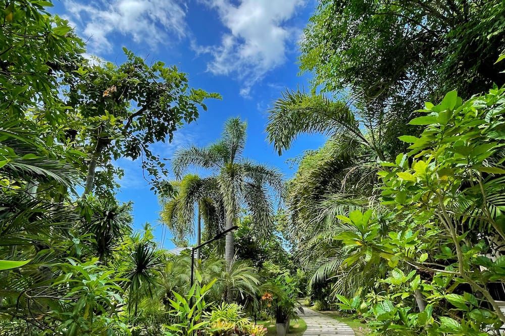 المظهر الخارجي