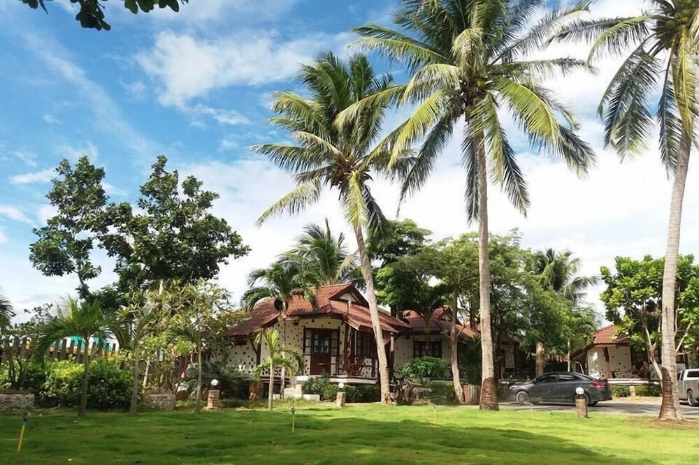 المظهر الخارجي