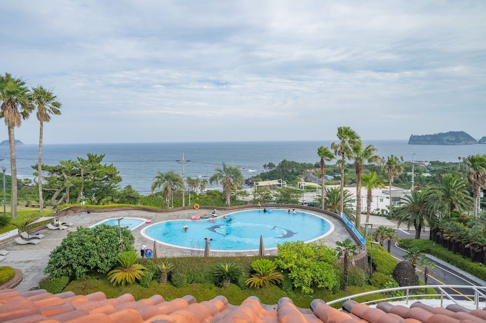 حوض السباحة