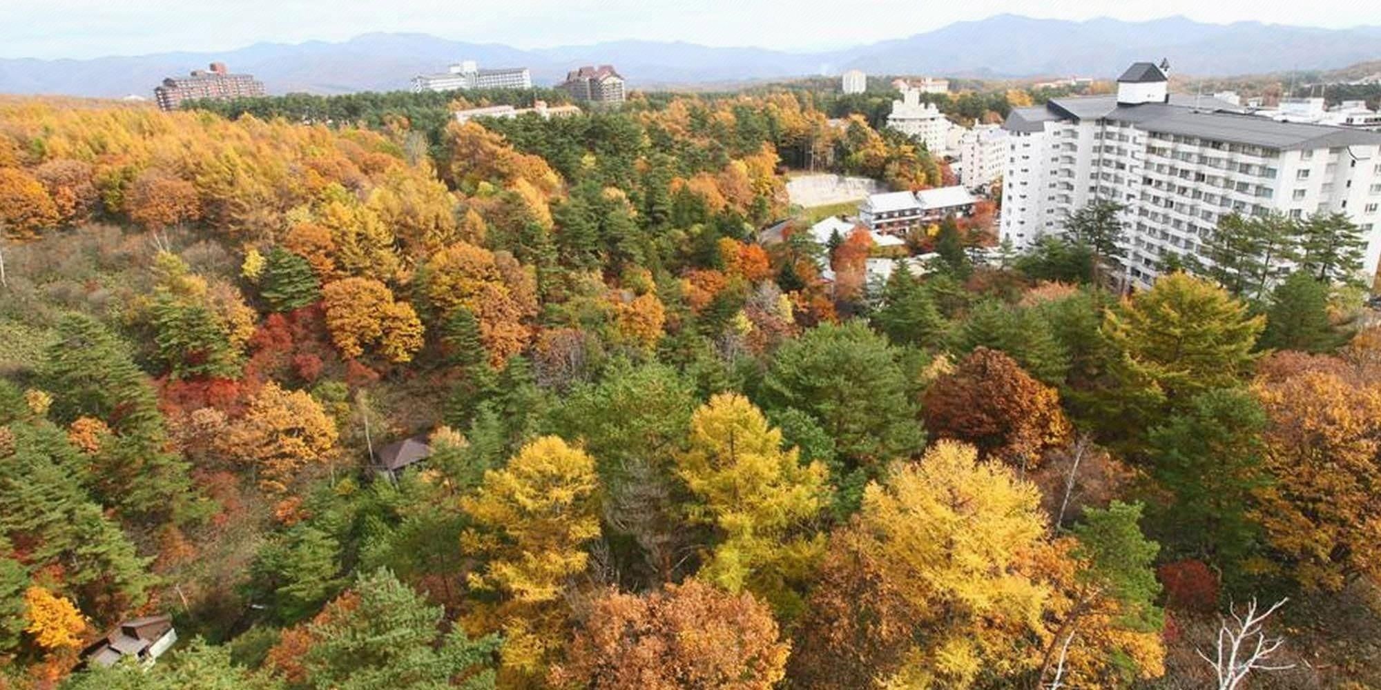 المظهر الخارجي