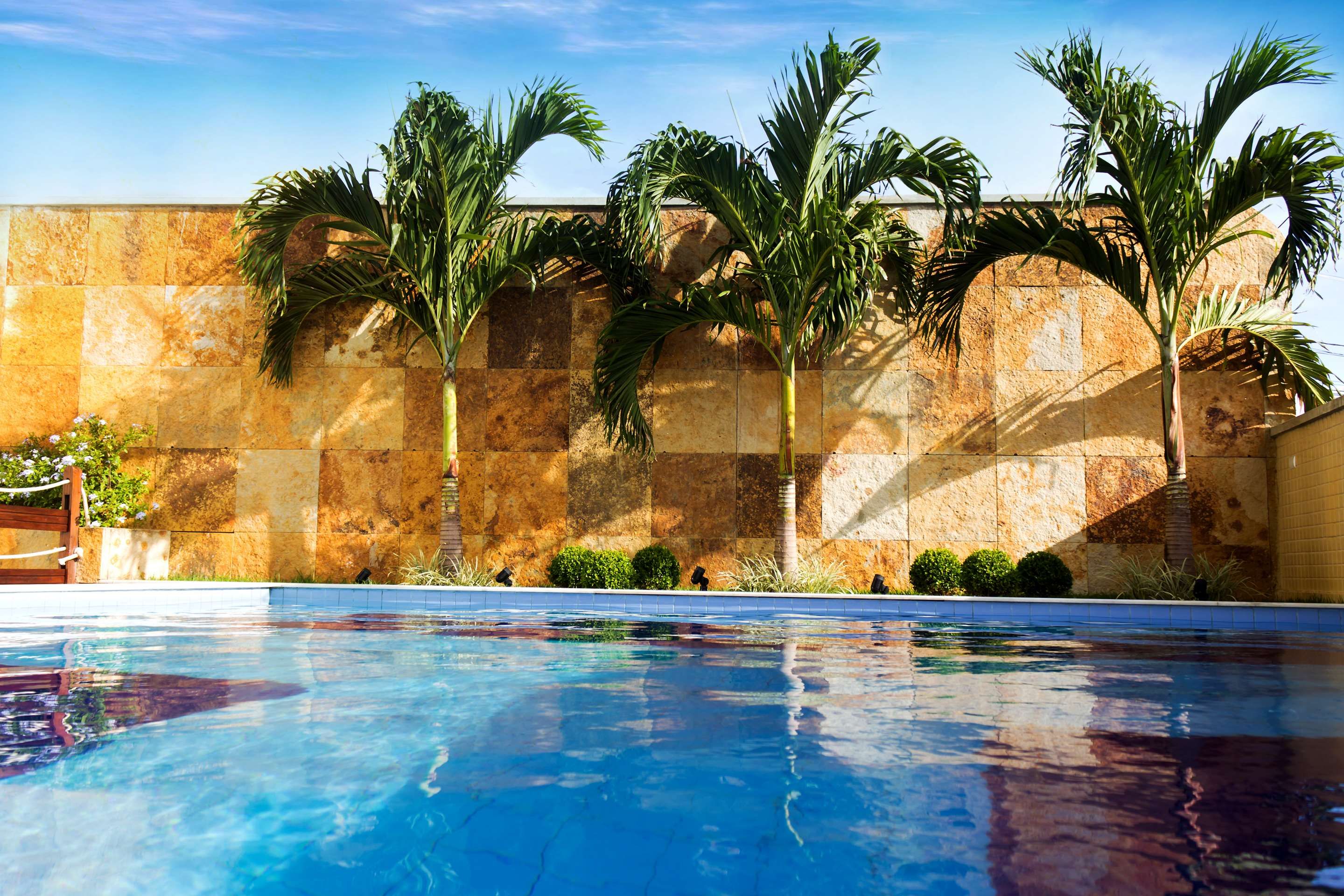 حوض السباحة