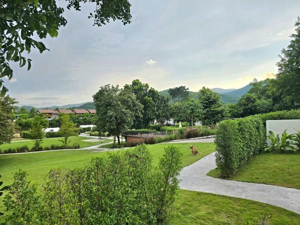 المظهر الخارجي