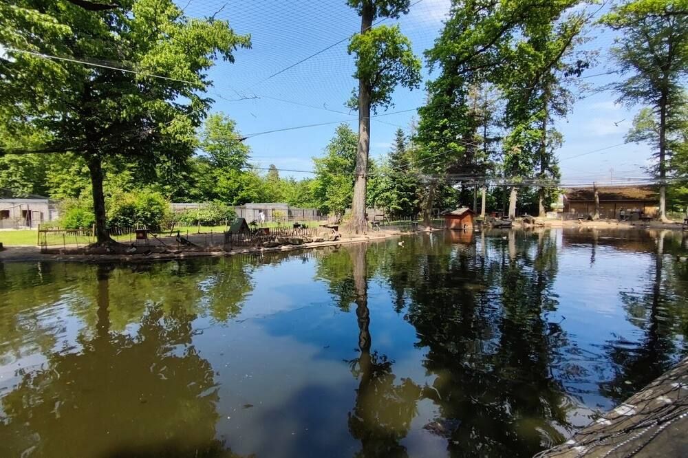 المظهر الخارجي