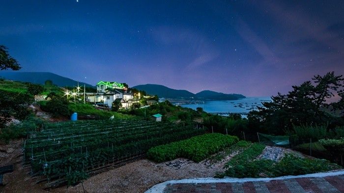 المظهر الخارجي