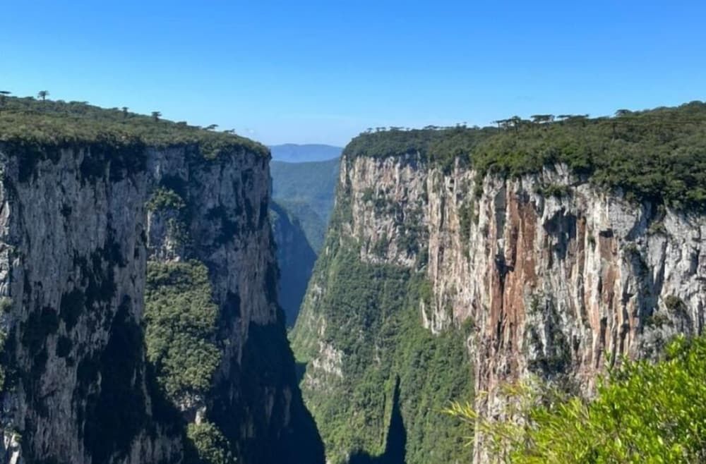 المظهر الخارجي