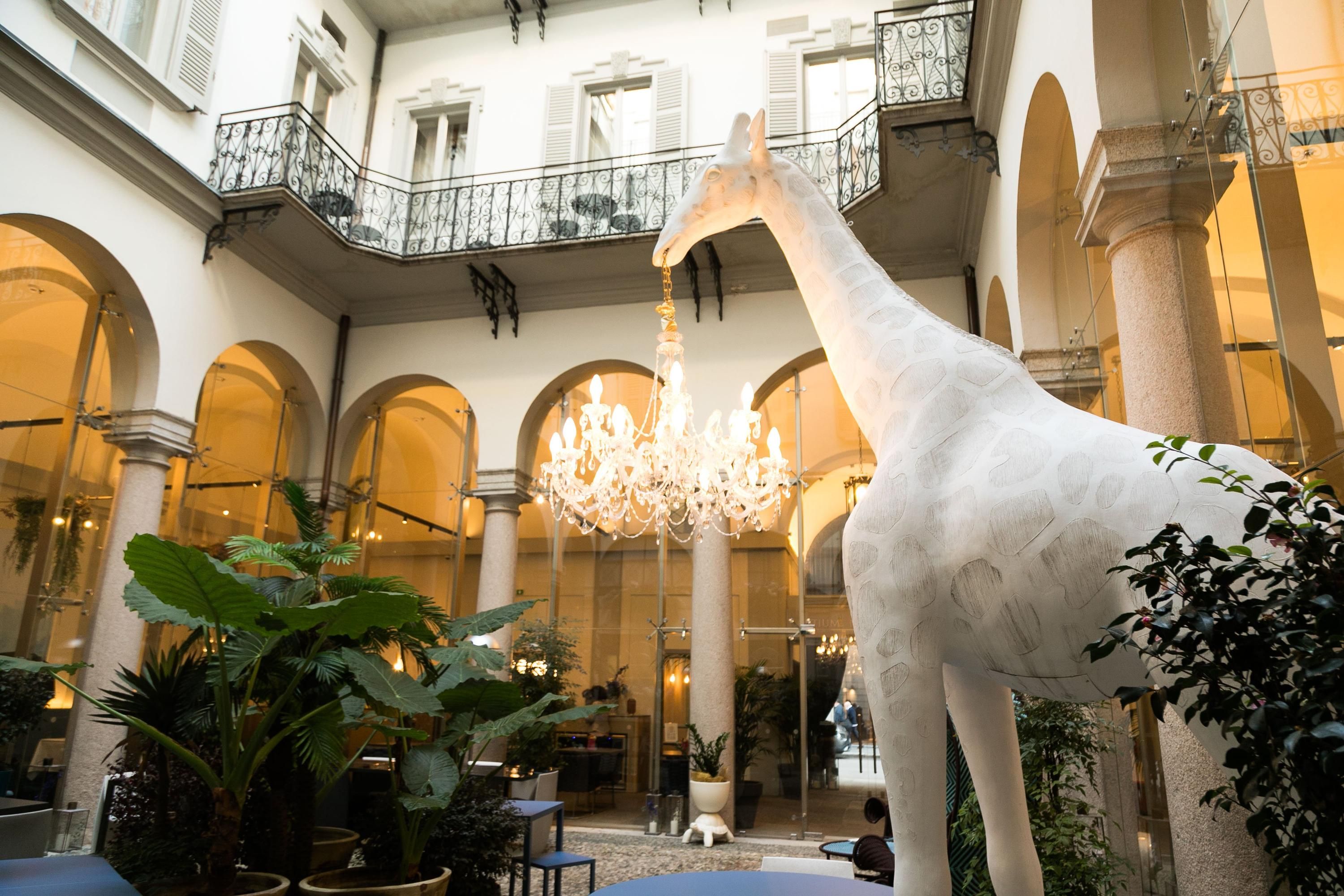 المظهر الخارجي