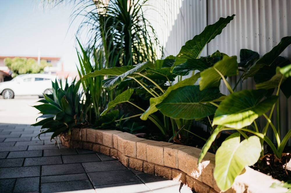 المظهر الخارجي