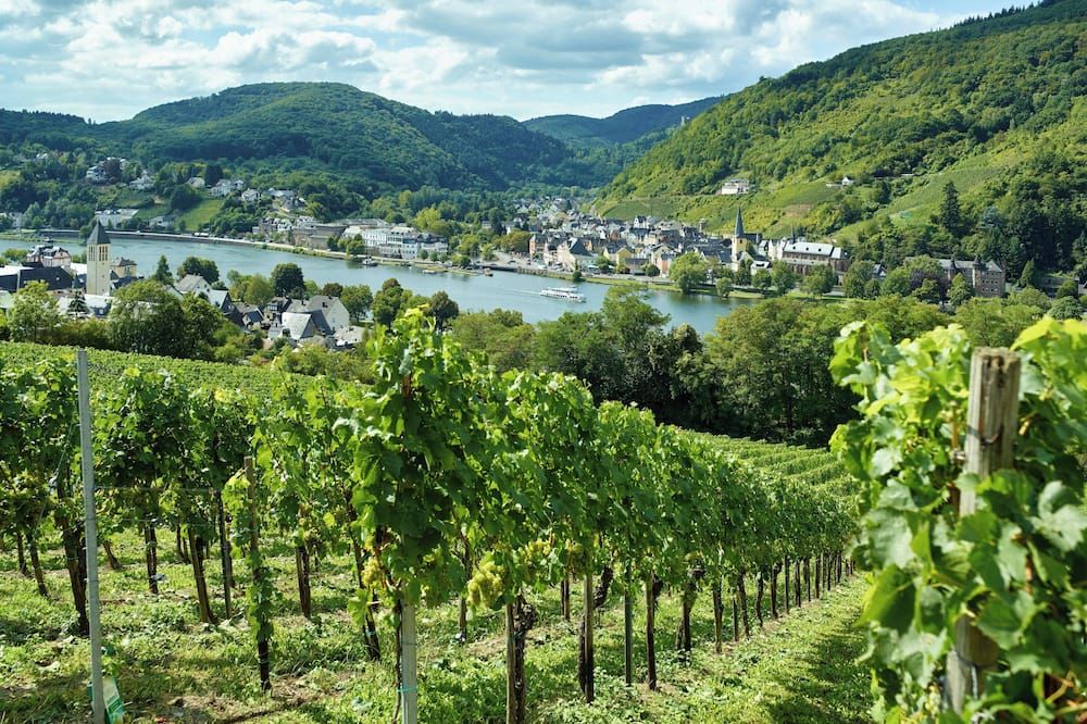 المظهر الخارجي