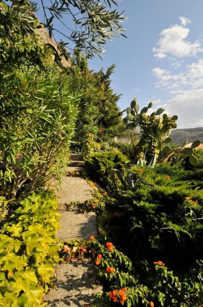 المظهر الخارجي