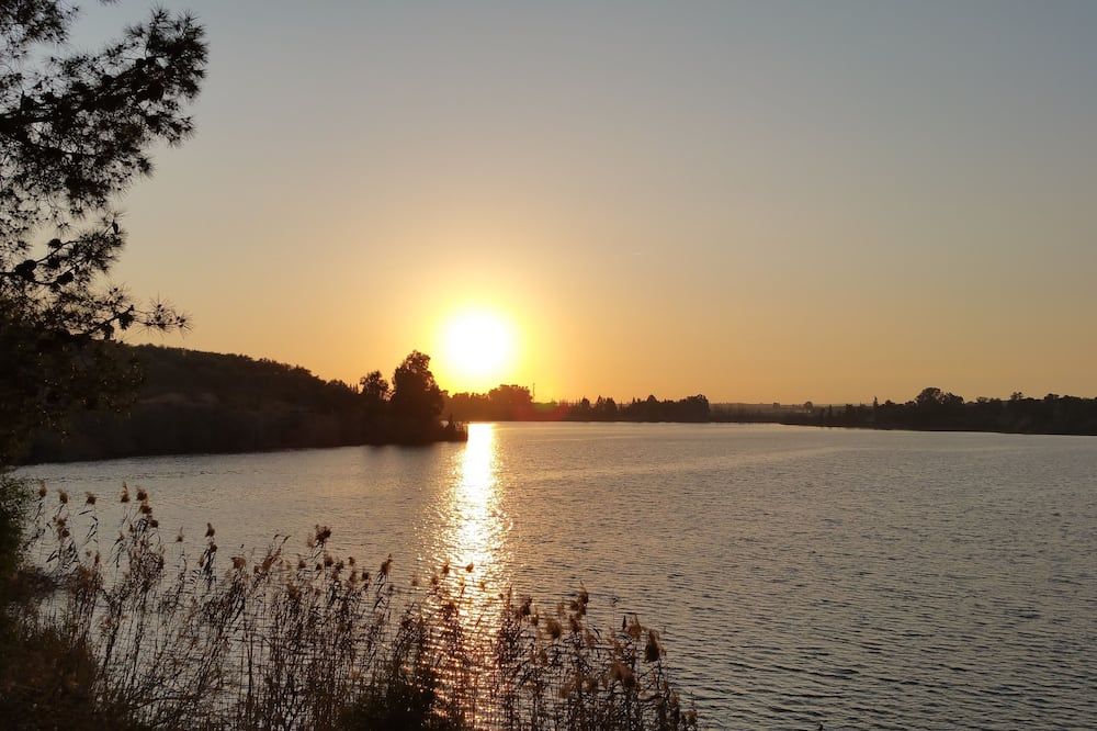 المظهر الخارجي