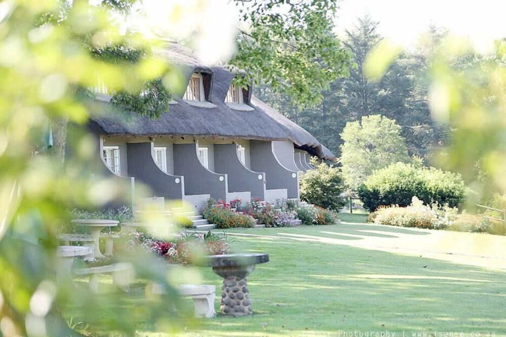 المظهر الخارجي