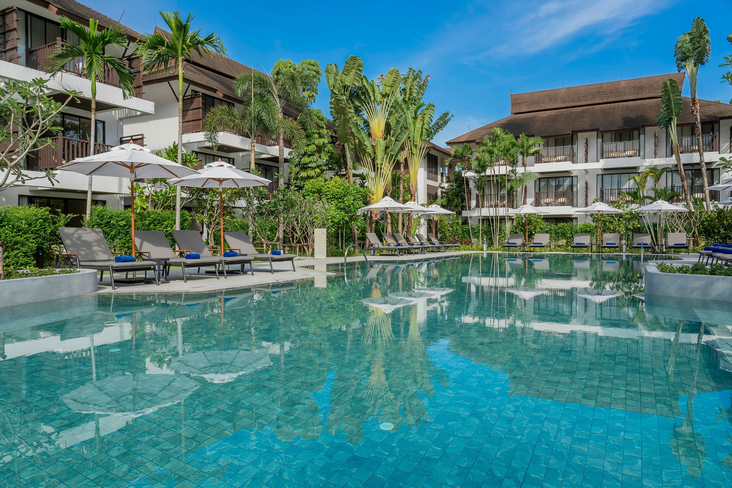 حوض السباحة