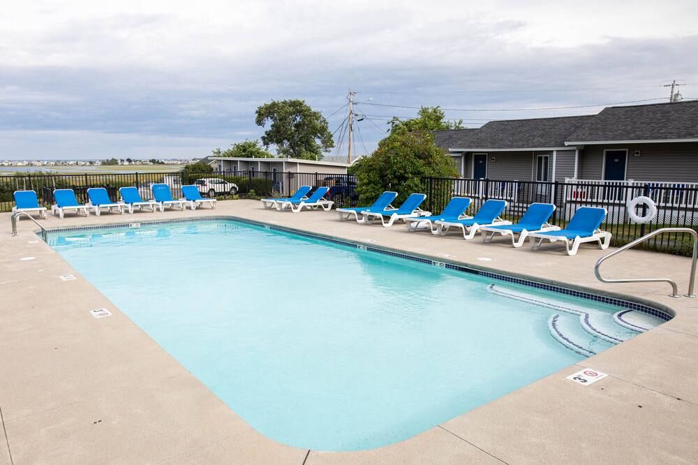 حوض السباحة صورة