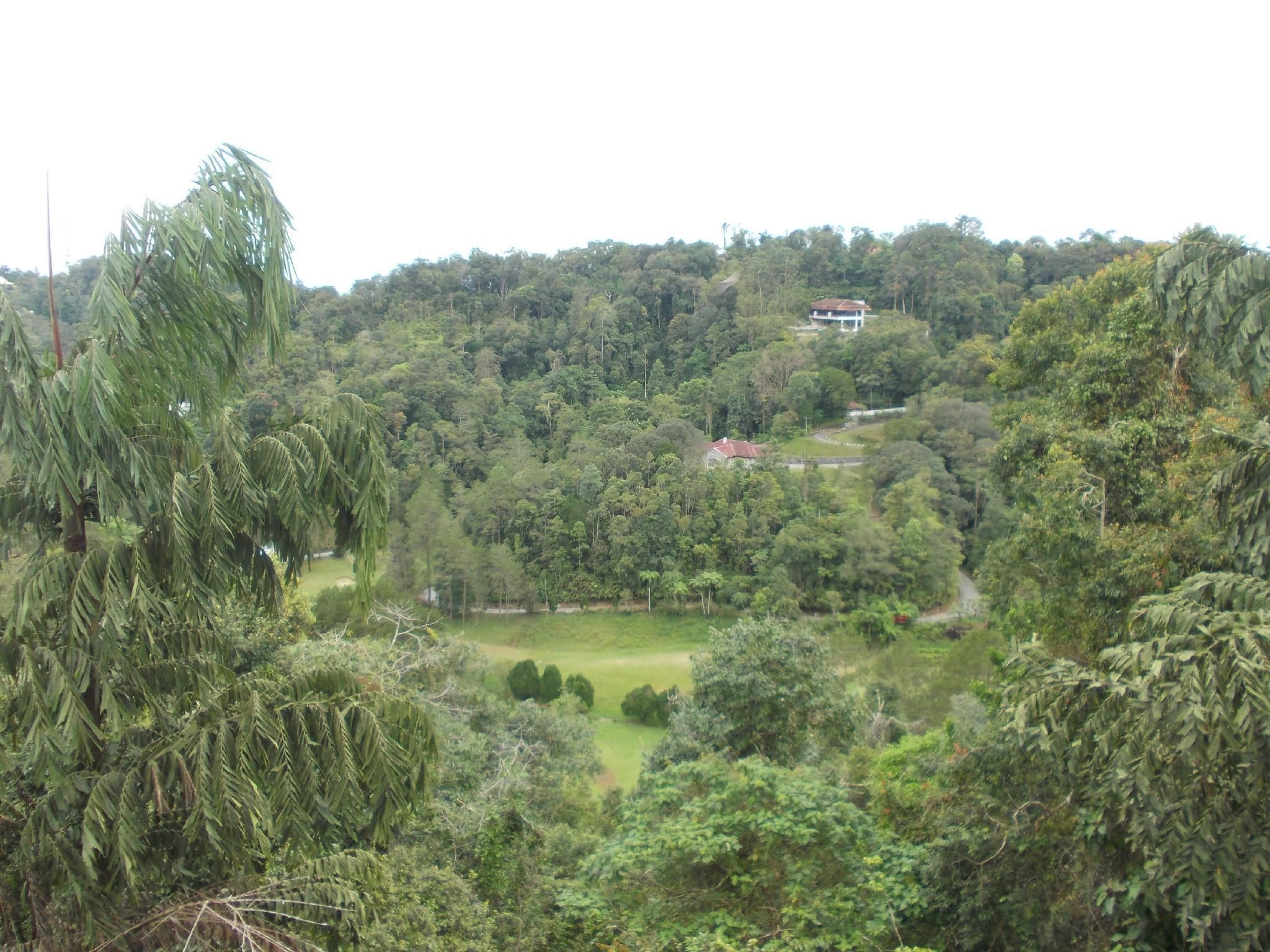 المظهر الخارجي