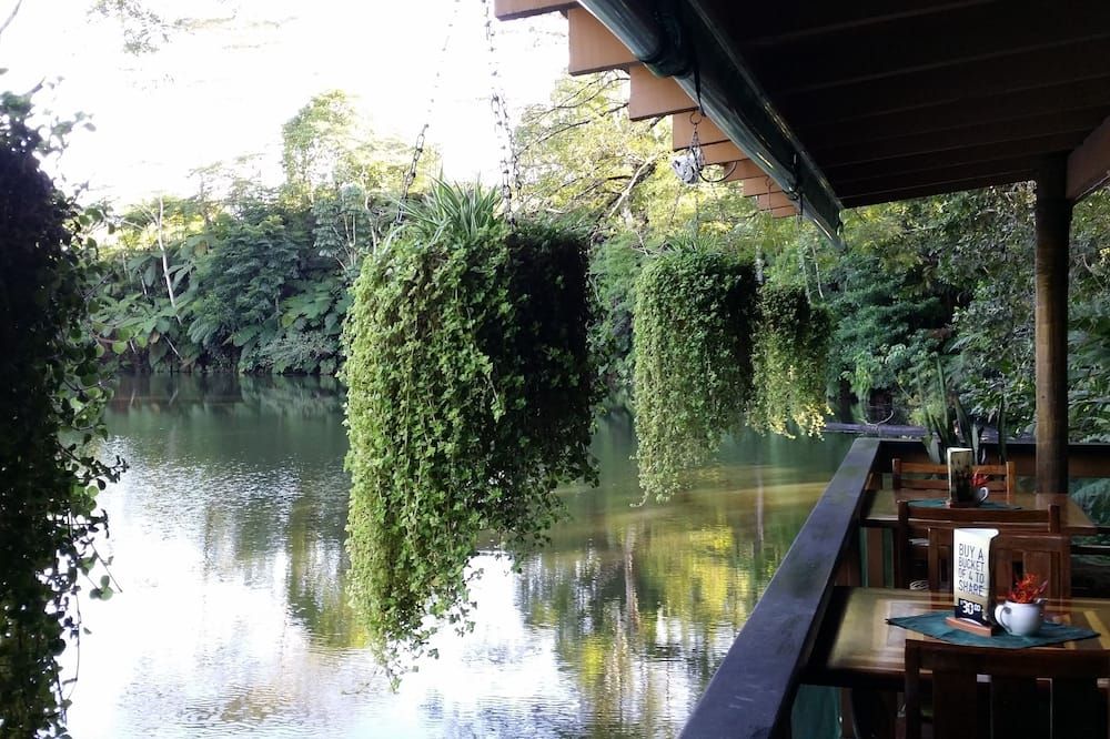 المظهر الخارجي