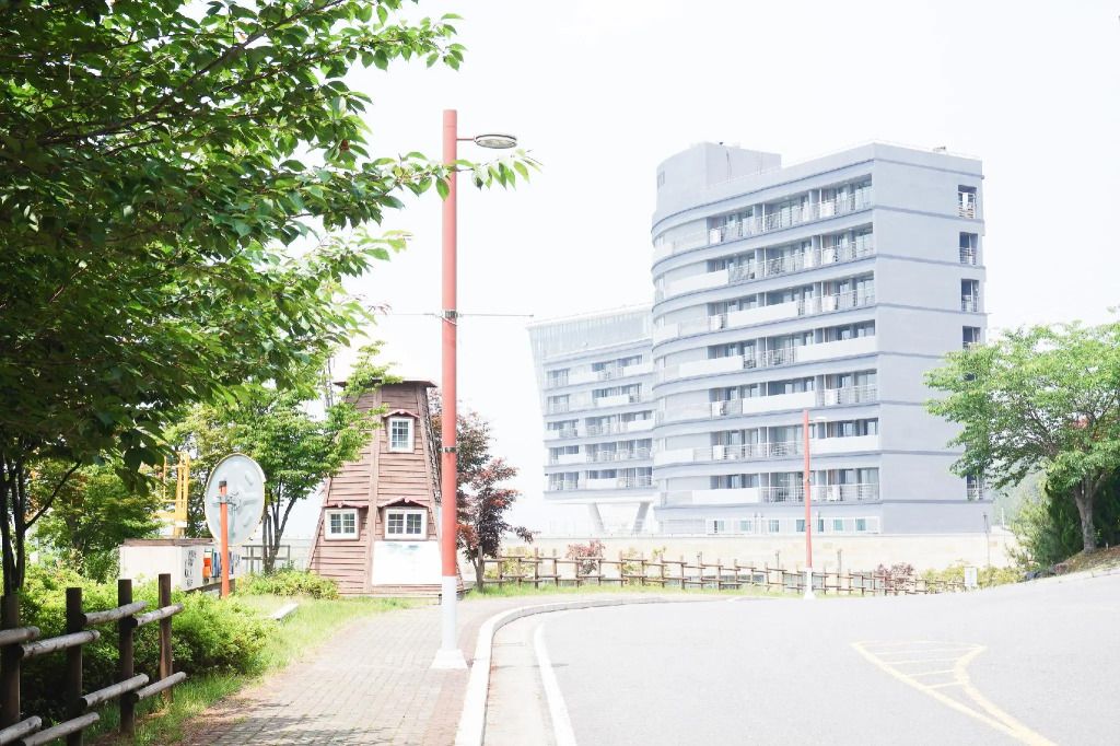 المظهر الخارجي