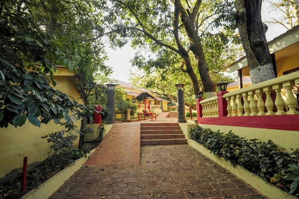 المظهر الخارجي