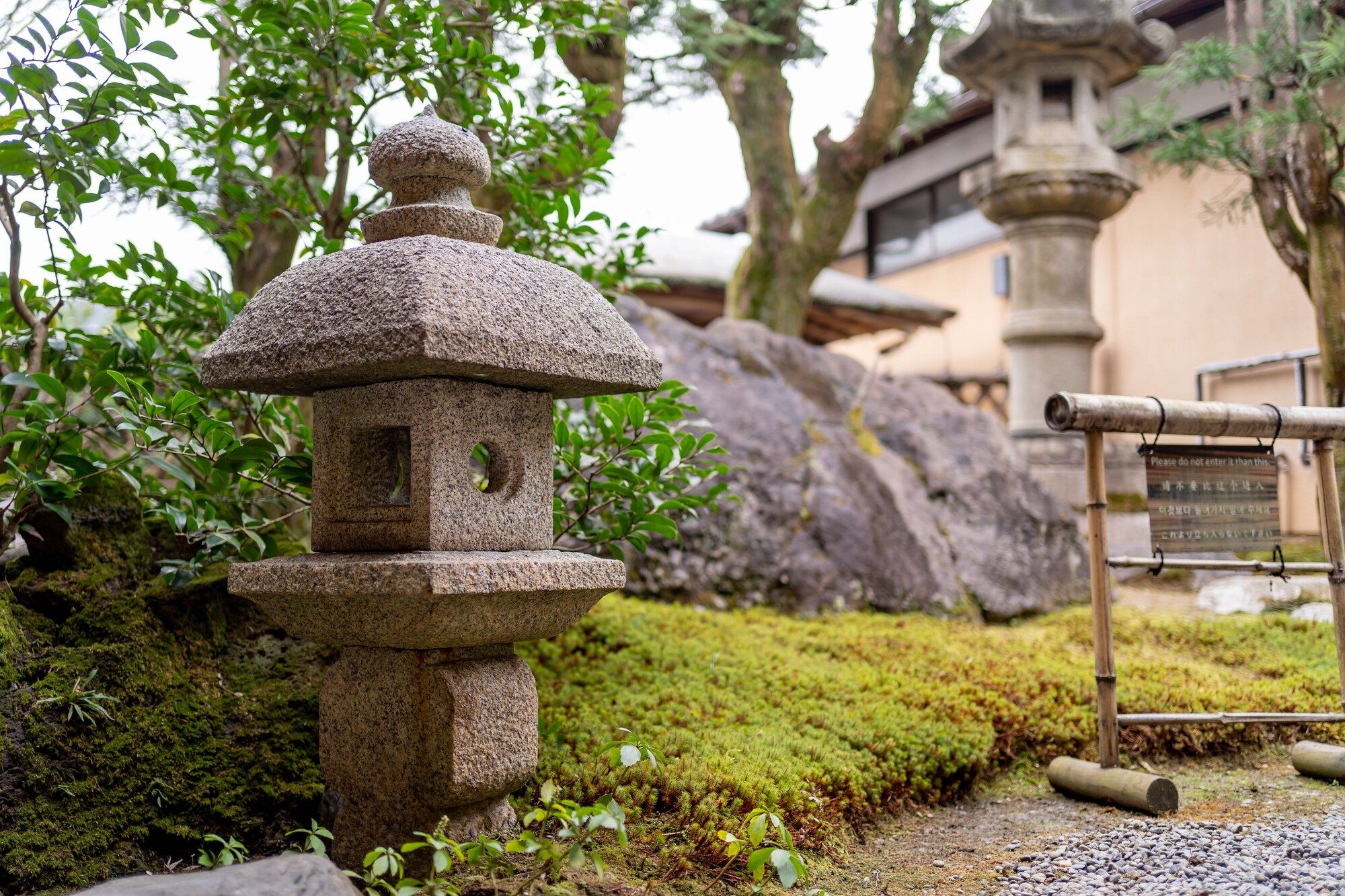 المظهر الخارجي