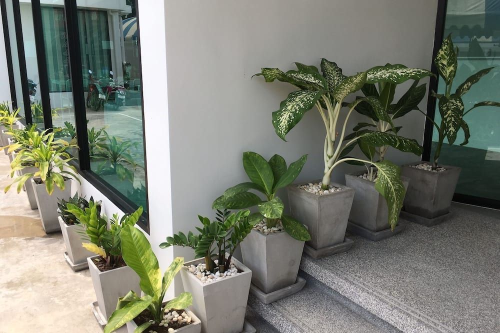 المظهر الخارجي