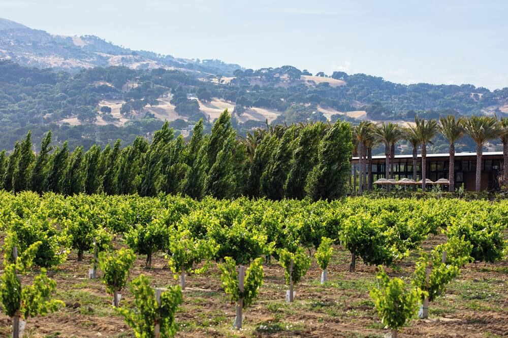 المظهر الخارجي