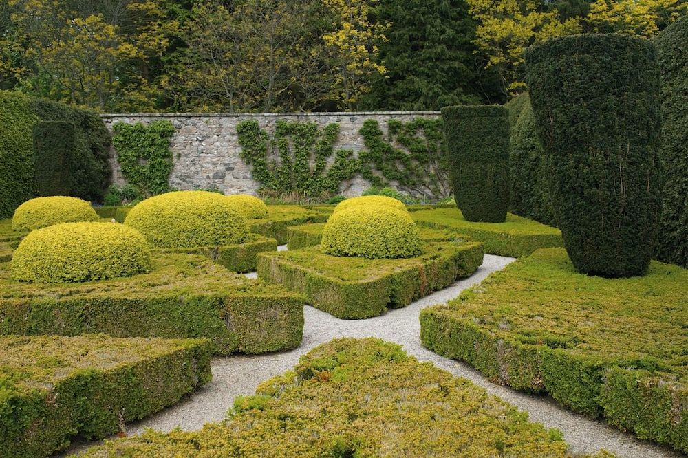 المظهر الخارجي