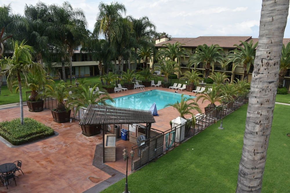 حوض السباحة