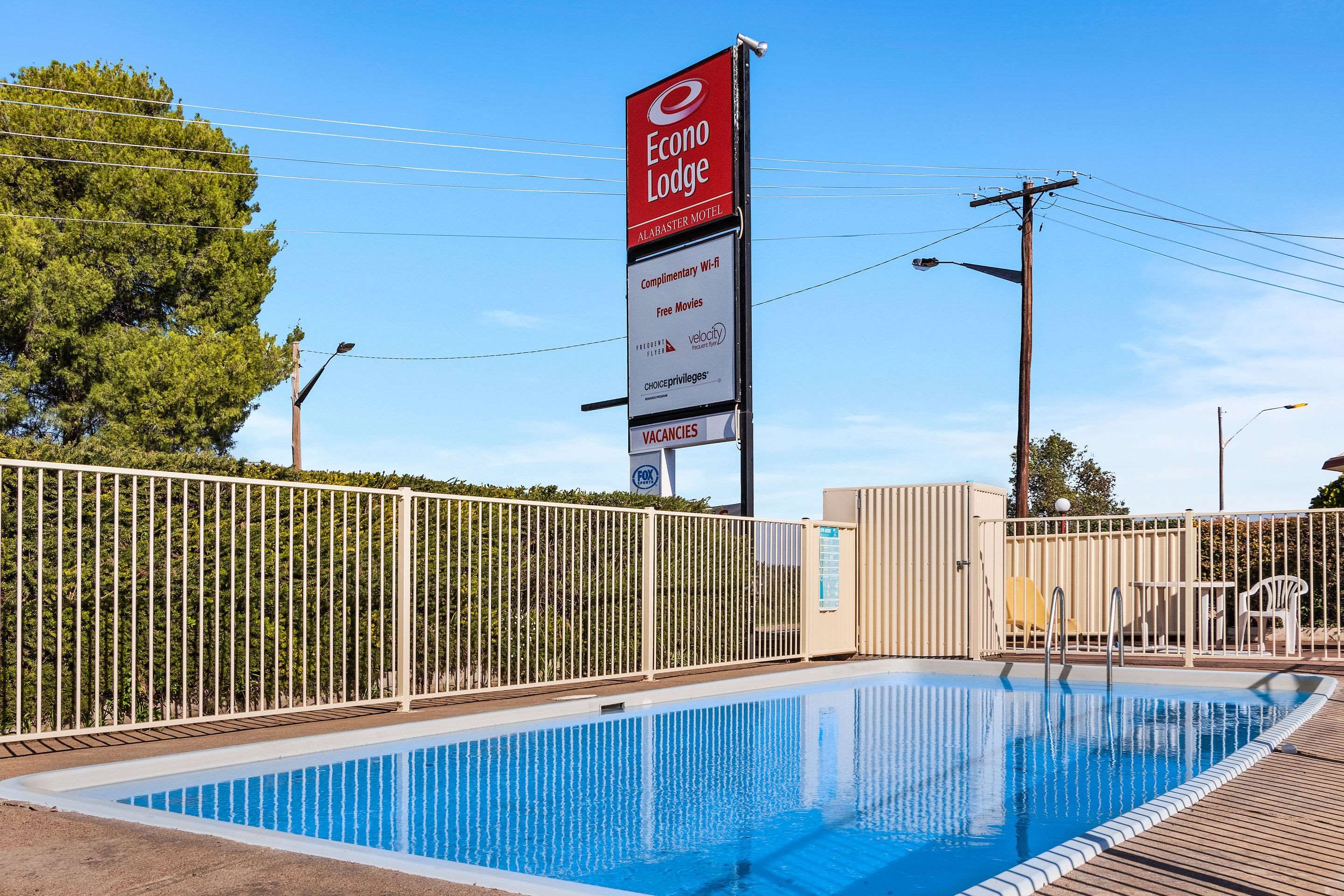 حوض السباحة