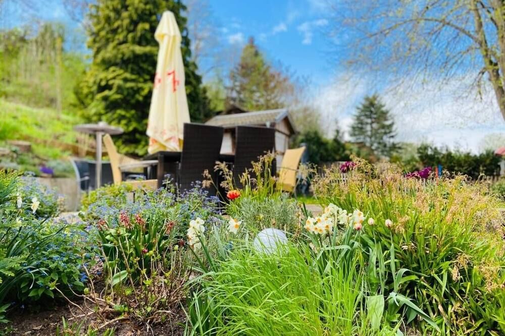 المظهر الخارجي