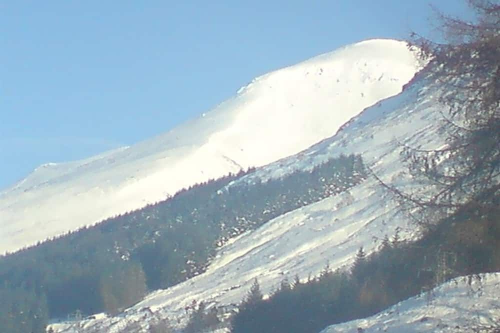 المظهر الخارجي