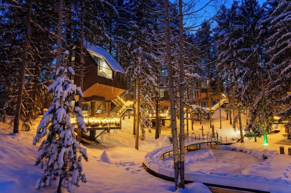 المظهر الخارجي