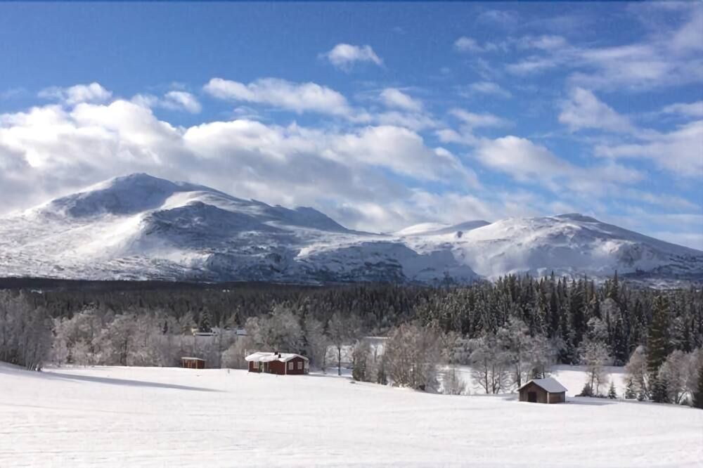 المظهر الخارجي