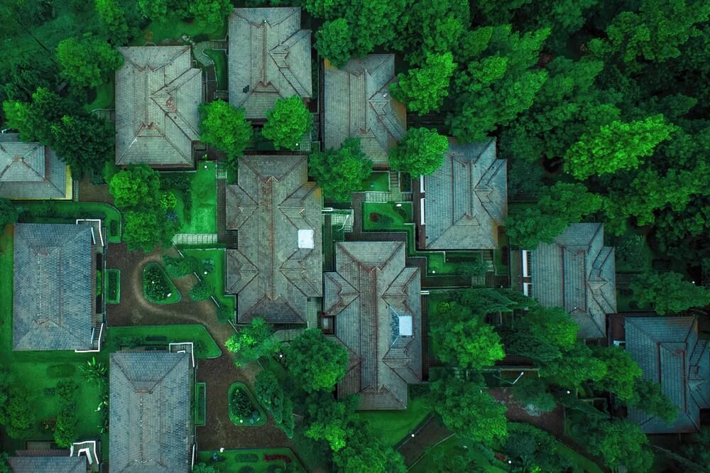 المظهر الخارجي