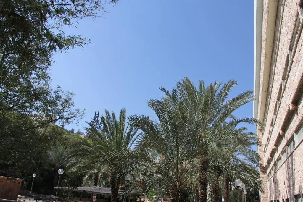 المظهر الخارجي