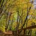 المظهر الخارجي