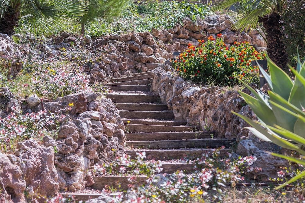 المظهر الخارجي صورة