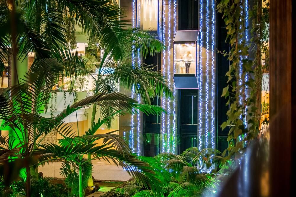 المظهر الخارجي