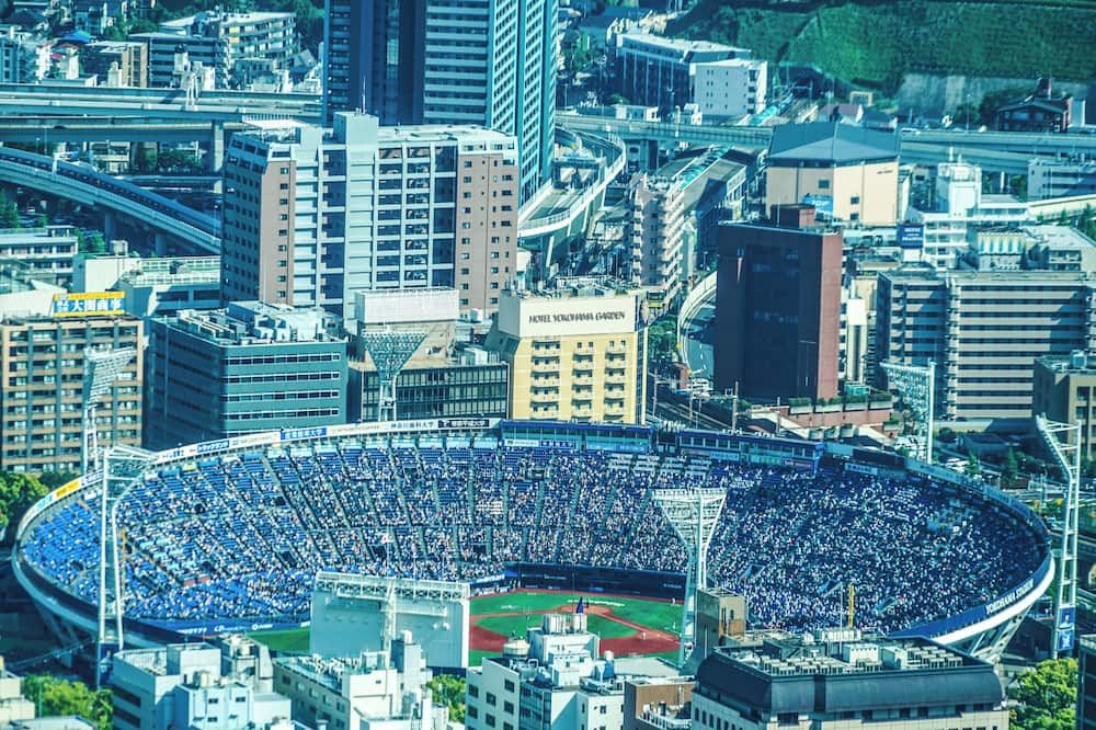 المظهر الخارجي