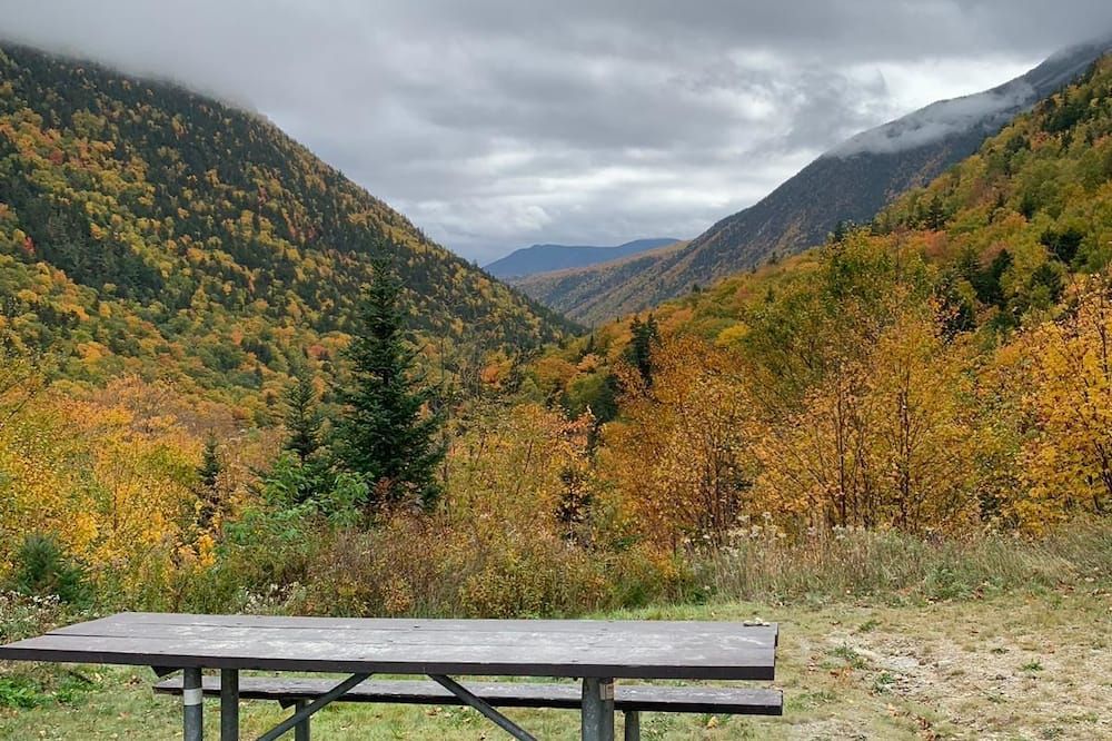 المظهر الخارجي