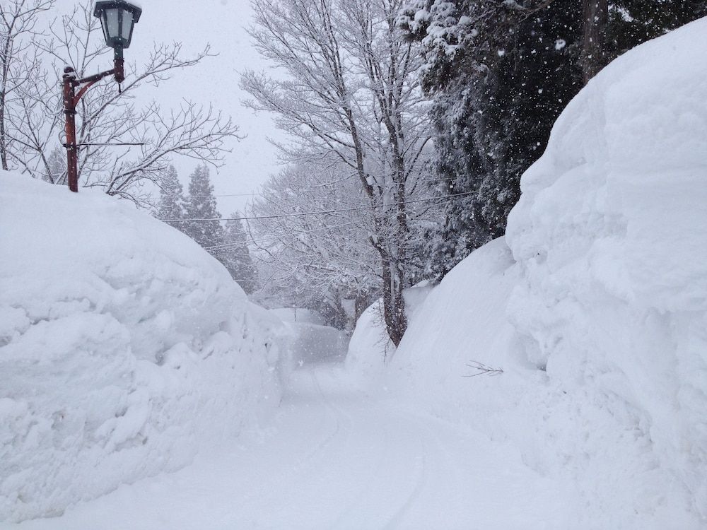 المظهر الخارجي