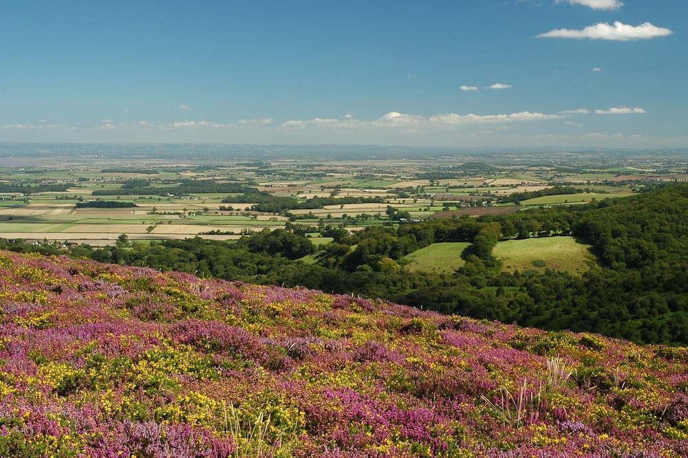المظهر الخارجي