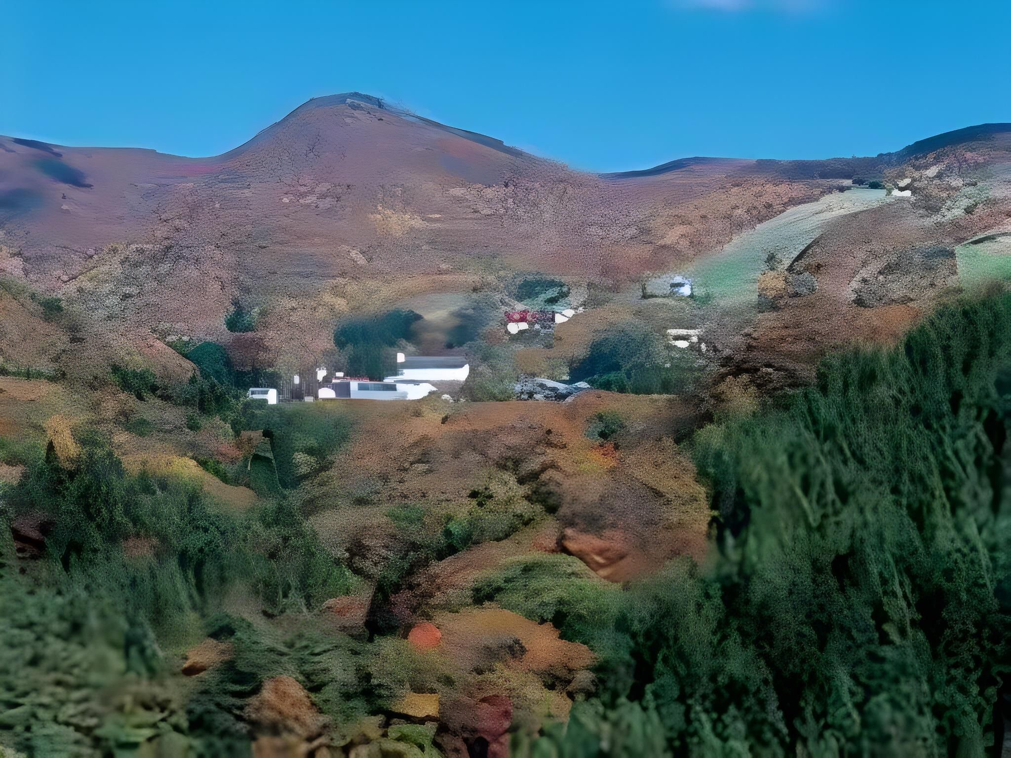 المظهر الخارجي