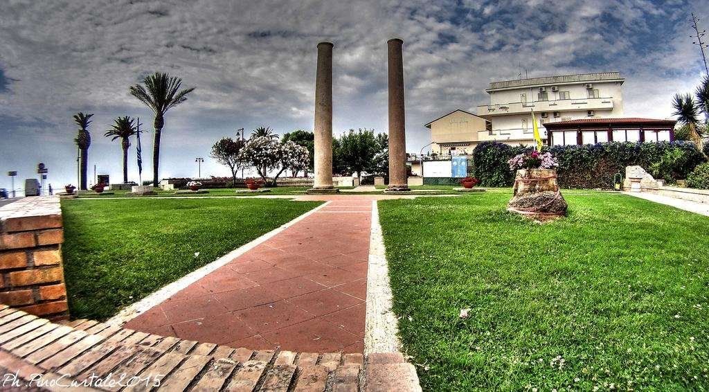 المظهر الخارجي