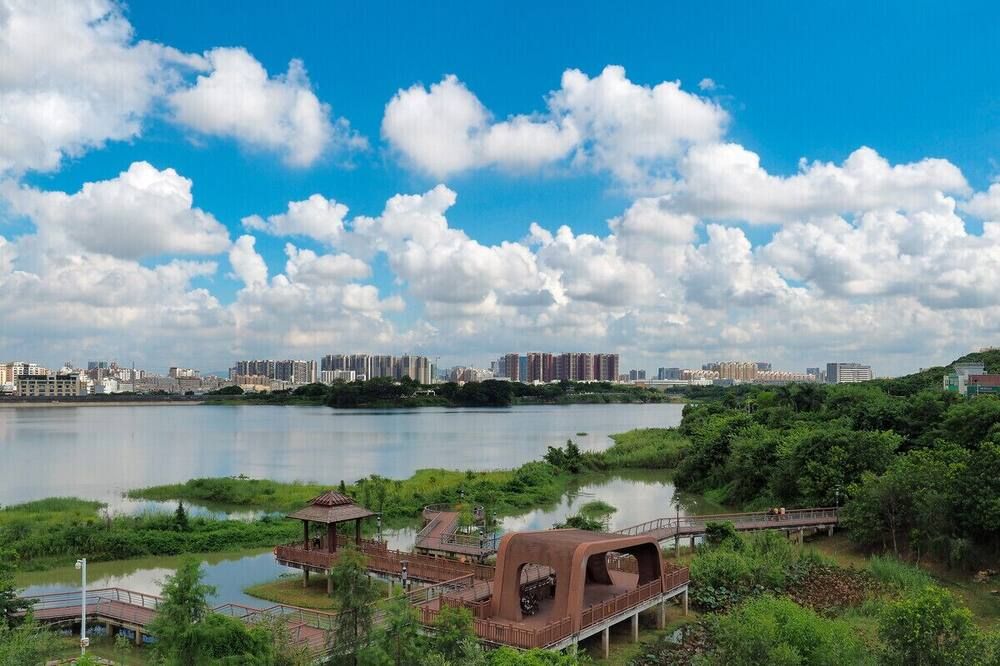 المظهر الخارجي