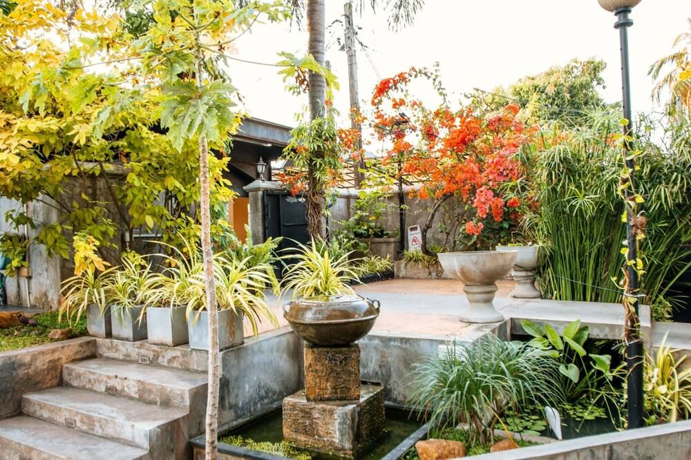 المظهر الخارجي