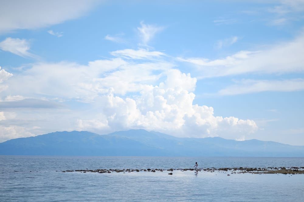 المظهر الخارجي