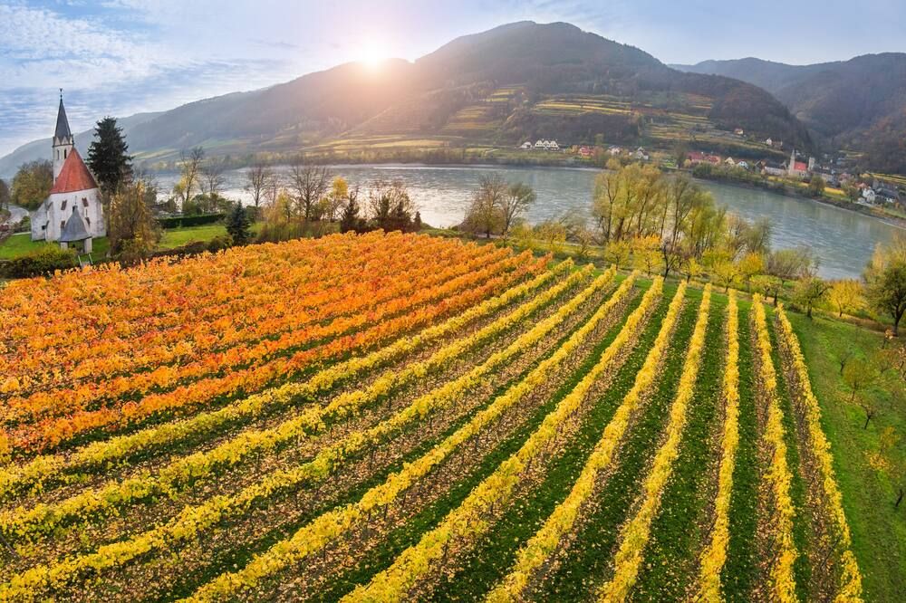 المظهر الخارجي