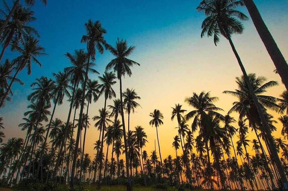 المظهر الخارجي