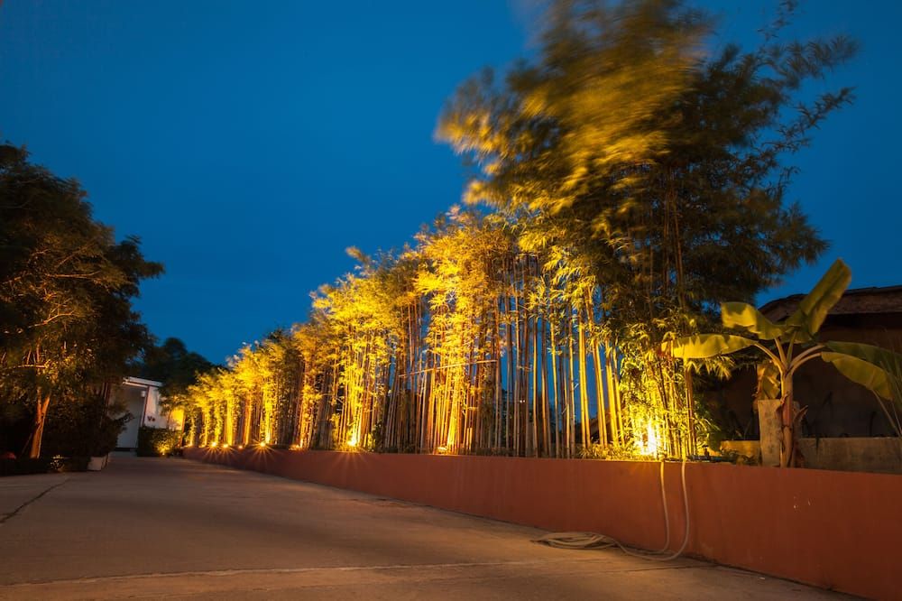 المظهر الخارجي