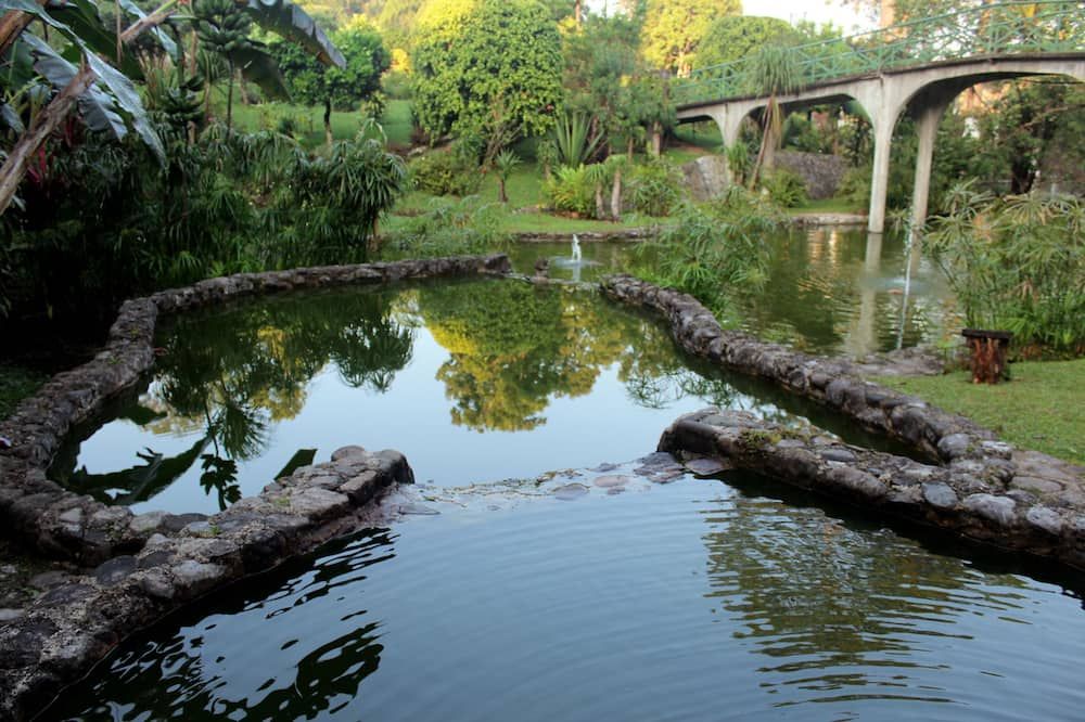 المظهر الخارجي